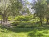 669A Maudsland Road, Maudsland, Qld 4210-Image