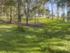 669A Maudsland Road, Maudsland, Qld 4210-Image