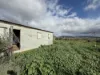 67 Barndioota Road, Hawker, SA 5434-Image