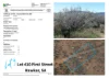 67 Chace View Terrace and other allotments, Hawker, SA 5434-Image