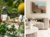 67 Cowles Road, Mosman, NSW 2088-Image
