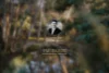 67 Docker Street, Wangaratta, Vic 3677-Image
