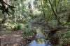 67 Don Napier Road, Eumundi, Qld 4562-Image