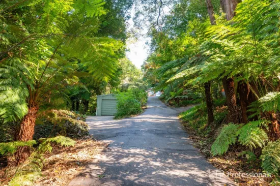 67 Donna Buang Road, Warburton, Vic 3799-Image