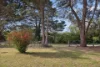 67 Elrington Street, Braidwood, NSW 2622-Image