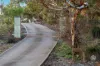 67 Graham Road, Gooseberry Hill, WA 6076-Image