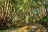67 Herron Road, Closeburn, Qld 4520-Image