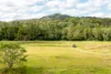 67 Herron Road, Closeburn, Qld 4520-Image