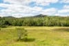 67 Herron Road, Closeburn, Qld 4520-Image