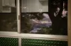 67 High Street, Bundamba, Qld 4304-Image