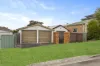 67 Lisgar Street, Merrylands, NSW 2160-Image