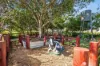 67 Malachite Drive, Logan Reserve, Qld 4133-Image