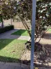 67 Martin Street, Ravensthorpe WA 6346-Image