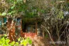67 Mistral Street, Falcon WA 6210-Image