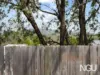 67 Nevis Road, Ripley, Qld 4306-Image