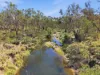 67 Panhandle Road, Uralla, NSW 2358-Image