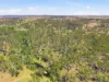 67 Panhandle Road, Uralla, NSW 2358-Image