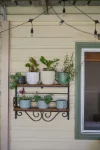 67 Wansbeck Valley Road, Cardiff, NSW 2285-Image