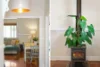 67 Wansbeck Valley Road, Cardiff, NSW 2285-Image