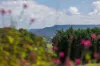 67 Windward Way, Milton, NSW 2538-Image