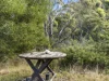 671 Kellevie Road, Kellevie, Tas 7176-Image