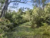 671 Kellevie Road, Kellevie, Tas 7176-Image
