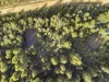 671 Kellevie Road, Kellevie, Tas 7176-Image