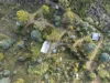671 Kellevie Road, Kellevie, Tas 7176-Image
