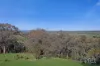 68 Bolah Ridge Road, Quirindi, NSW 2343-Image