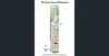 68 Electra Street, Williamstown, Vic 3016-Floorplan