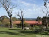 68 Forest Road, Newham, Vic 3442