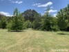 68 Forest Road, Newham, Vic 3442-Image