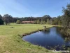 68 Forest Road, Newham, Vic 3442-Image