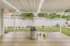 68 Furness Drive, Tewantin, Qld 4565-Image
