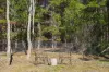 68 Halls Road, Myrtleford, Vic 3737-Image