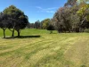 68 Hawke Road, Pemberton, WA 6260-Image