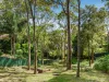 68 Lakeview Road, Wangi Wangi, NSW 2267-Image
