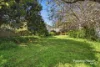 68 Lang Street, Padstow, NSW 2211-Image