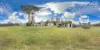 68 Lismore Street, Abermain, NSW 2326-Image
