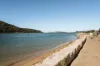 68 The Esplanade, Ettalong Beach, NSW 2257-Image
