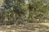 68 Williams Lane, Mudgee, NSW 2850-Image