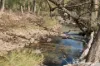 68 Williams Lane, Mudgee, NSW 2850-Image