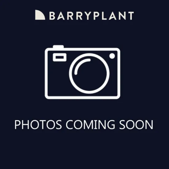 68 Wirraway Street, Moe, Vic 3825