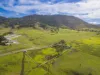 680 Summer Hill Road, Summer Hill, NSW 2421-Image