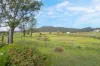 680 Summer Hill Road, Summer Hill, NSW 2421-Image