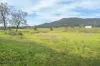 680 Summer Hill Road, Summer Hill, NSW 2421-Image