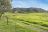 680 Summer Hill Road, Summer Hill, NSW 2421-Image