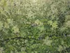 686 Buxton Road, Isis River, Qld 4660-Image