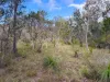 686 Buxton Road, Isis River, Qld 4660-Image