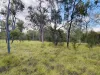 686 Buxton Road, Isis River, Qld 4660-Image